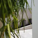 阿雷西费萨尔瓦多公寓 *